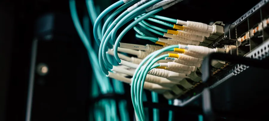 Fibre-optic patch cables connected to a network switch